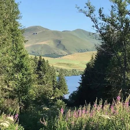 Διαμέρισμα T2 Dore, Wifi, Parking, Petit Chien Bienvenu - Fr-1-608-290 Mont-Dore